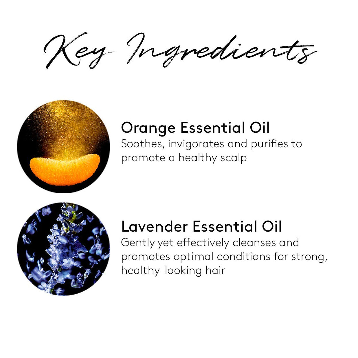 Complexe 5 Pre-Shampoo Treatment