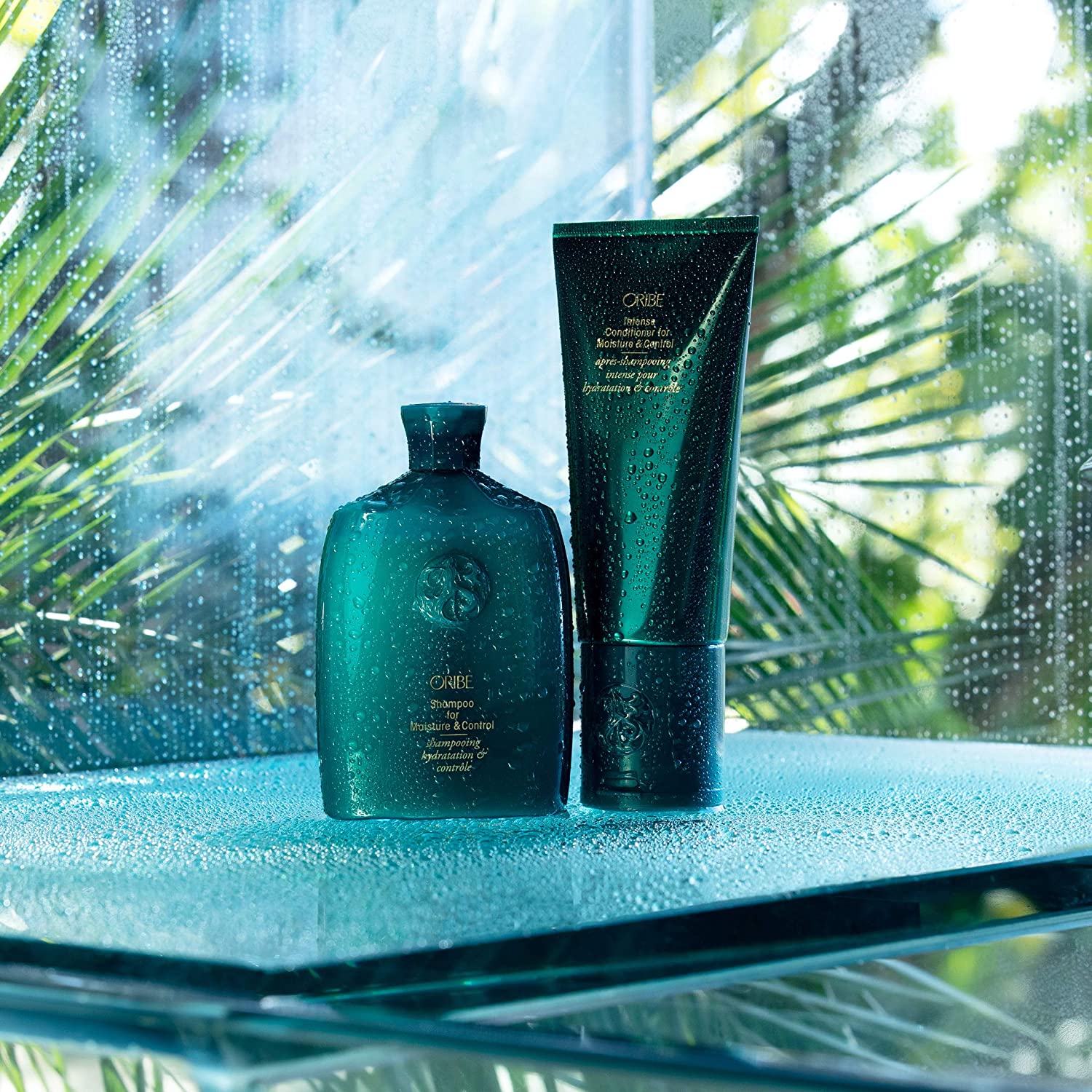 Moisture and Control Intense Conditioner